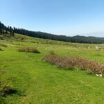 Doodhpatri Tours Kashmir