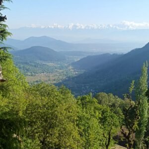 Pahalgam Tours