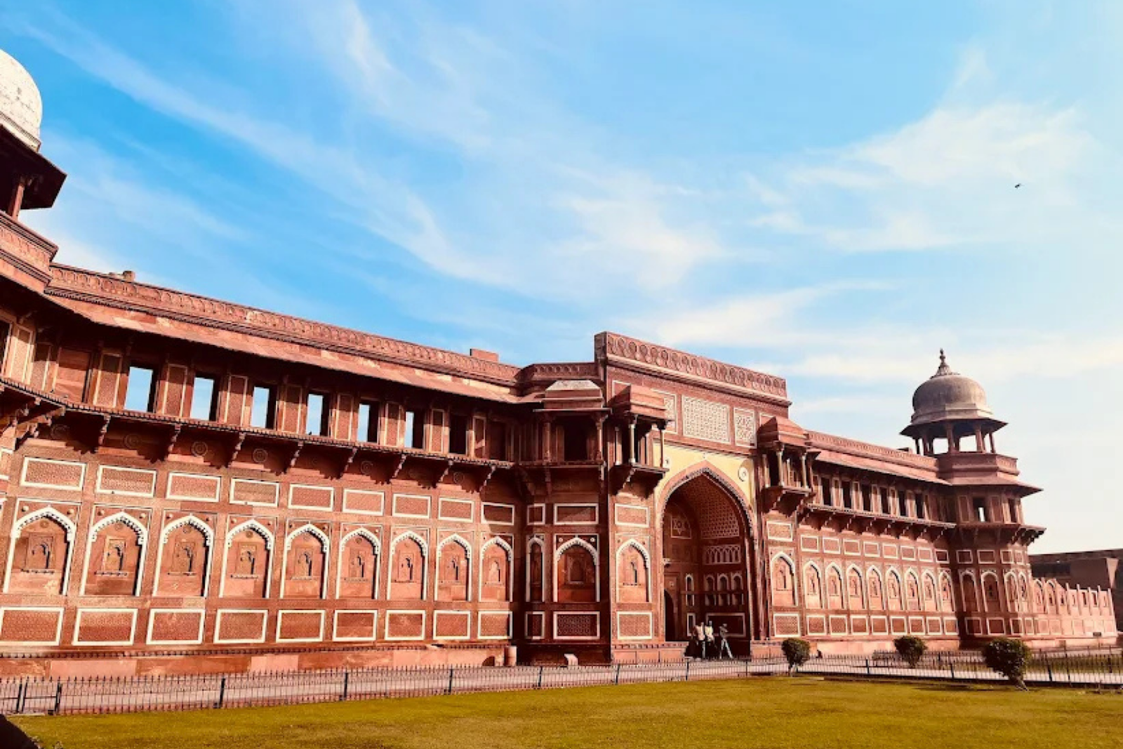 All-Inclusive Day Trip of Taj Mahal with Elephant SOS from Delhi